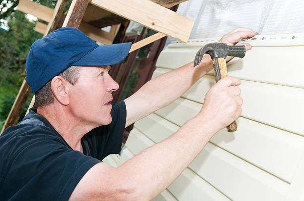 Best Stone Veneer Siding  in Baywood Park, CA