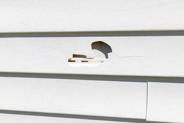 Storm Damage Siding Repair in Baywood Park, CA