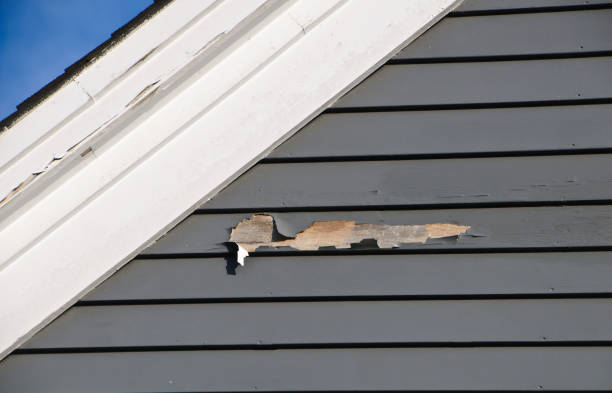 Best Engineered Wood Siding  in Baywood Park, CA