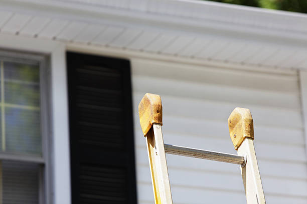 Best Historical Building Siding Restoration  in Baywood Park, CA