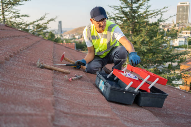 Best Steel Siding Installation  in Baywood Park, CA