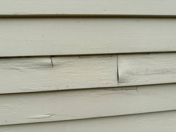 Best Custom Siding Design  in Baywood Park, CA